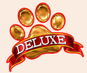 Dog Ear Cleaning and Ear Infection Prevention in Miami